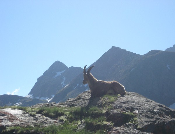 LAGO CHARDONNET