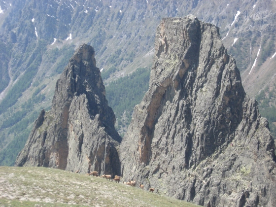 MONTE EIGHIER M.2574 (VAL MAIRA)