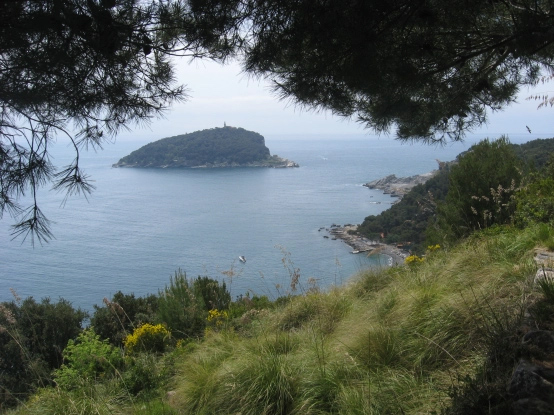 ANELLO DELLA PALMARIA