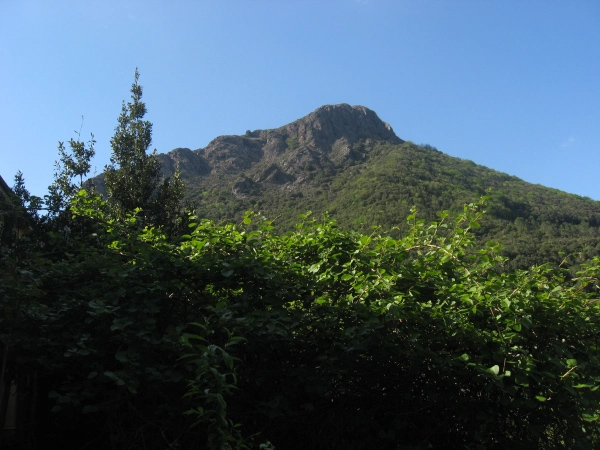 MONTE TREGGIN