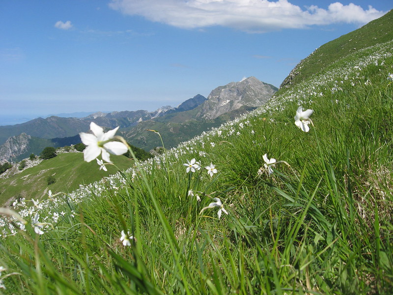 MONTI CROCE E NONA ALPI APUANE