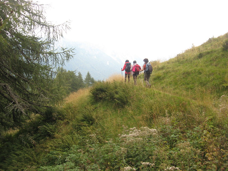 ANELLO DI MALGA TOGNOLA