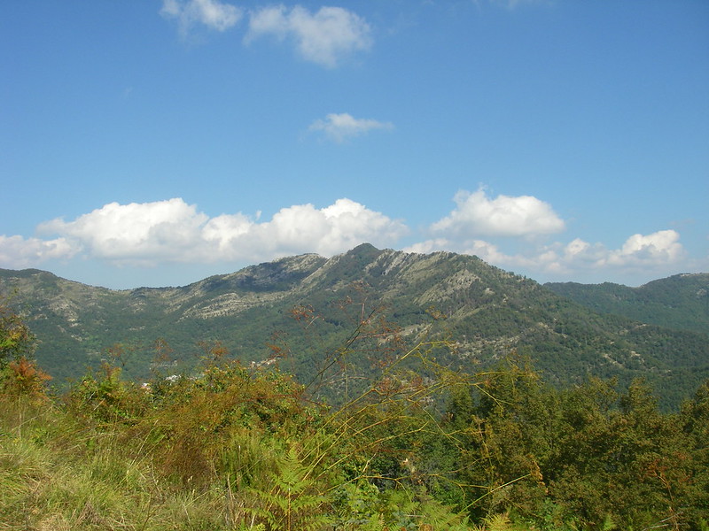 MONTE ORSENA (SANTUARIO N.S. DI CARAVAGGIO) M.615