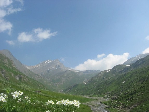 COLLE FIUTRUSA M. 2858 (VAL VARAITA)