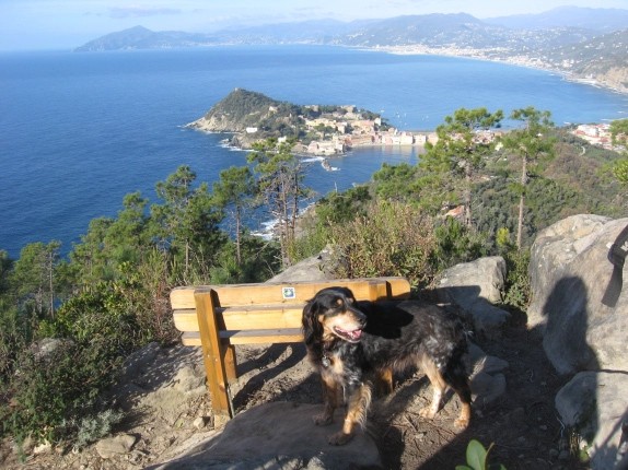 ANELLO DI PUNTA MANARA