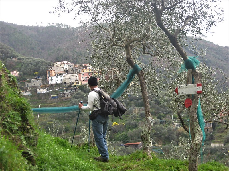 ANELLO DELLE FRAZIONI DI LEVANTO