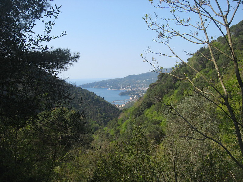 MONTE PEGGE M. 774 DALLA VALLE TUIA