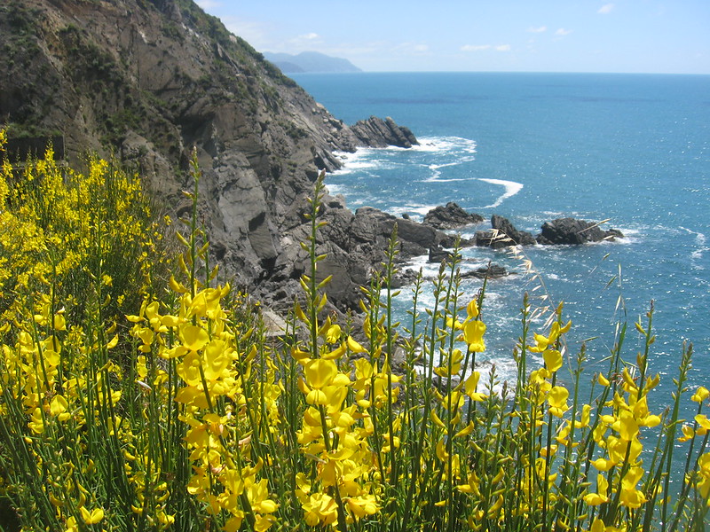 ANELLO DI PUNTA BAFFE