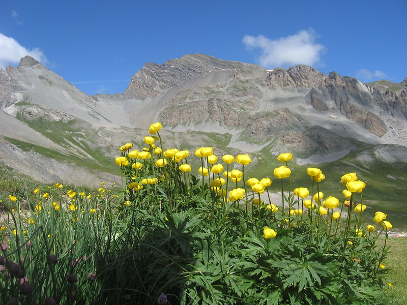 MONTE ENCHASTRAIA M. 2955 DA FERRIERE