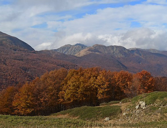 MONTE CUSNA M. 2121 - APPENNINO TOSCO-EMILIANO