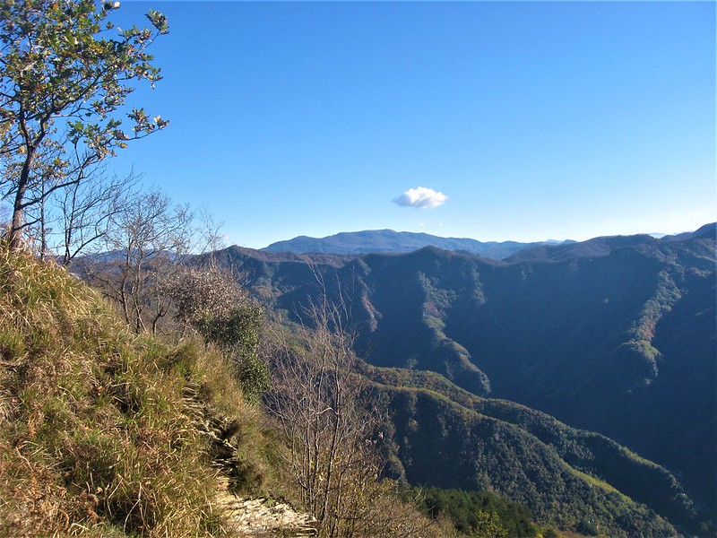 ANELLO DEL MONTE CAUCASO DAL PASSO DELLA SCOGLINA