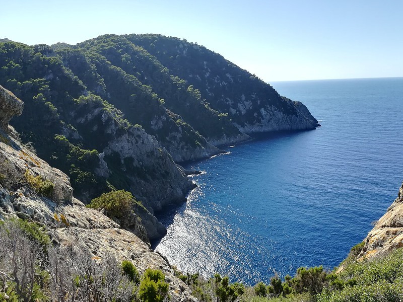 ESCURSIONE GUIDATA ALL' ISOLA GORGONA (GR. 1)