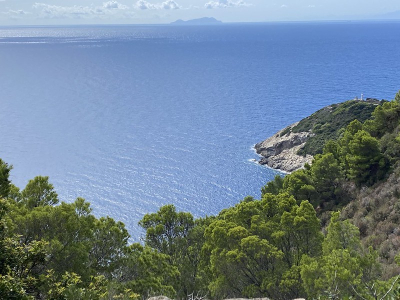 ESCURSIONE GUIDATA ALL' ISOLA GORGONA (GR. 2)