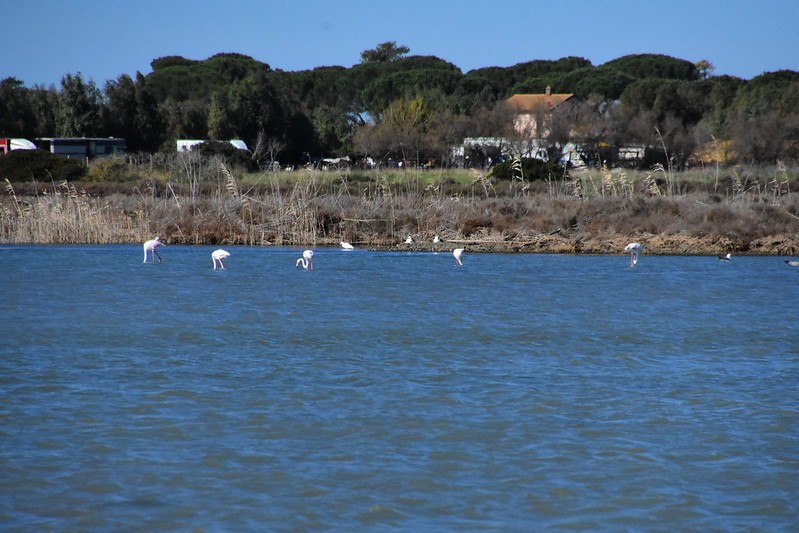 TREKKING DELLA MAREMMA - OASI WWF