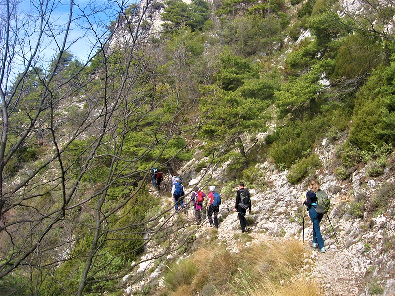 MONTE BAUDON M. 1265 (COSTA AZZURRA)