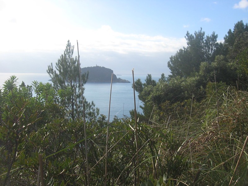 ANELLO DELL'ISOLA PALMARIA