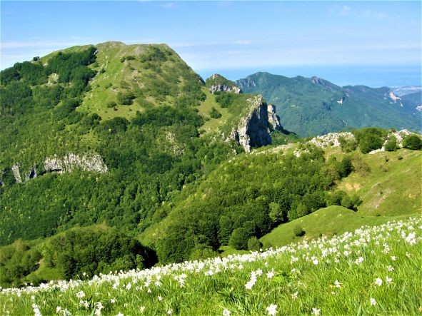 MONTE CROCE  M. 1314 -  ALPI APUANE