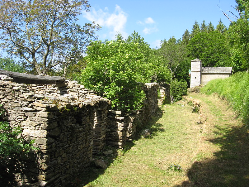 MONTE FREDDONE