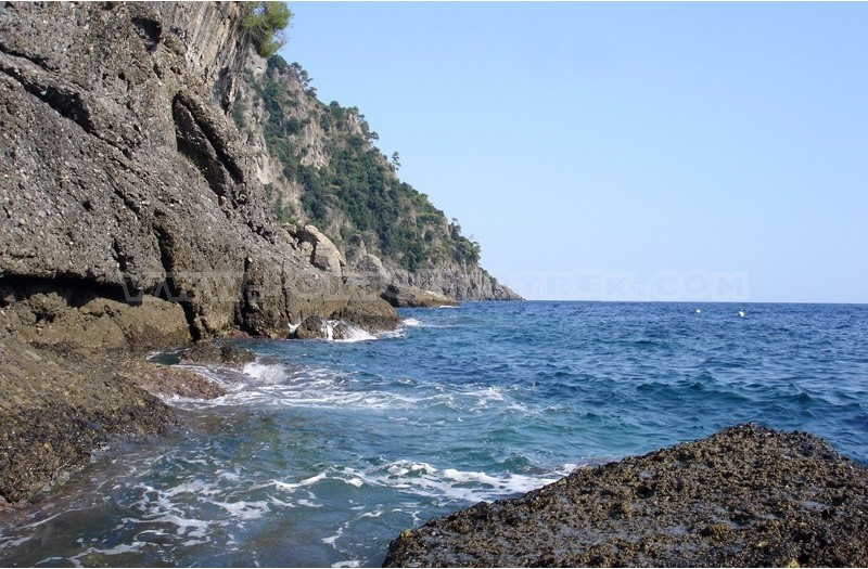 ANELLO DI CALA DEGLI INGLESI DA NOZAREGO (S.M.L.)