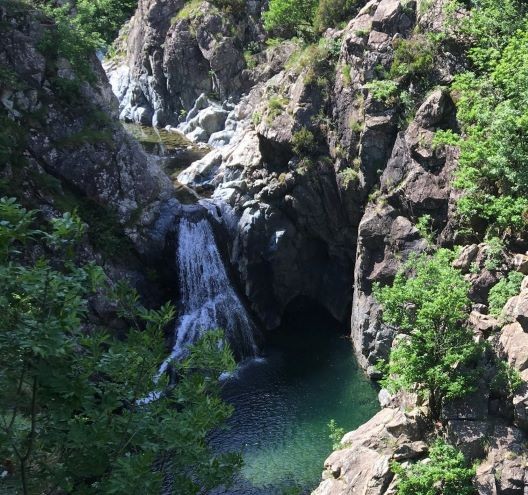 MONTE BRIC DEL DENTE M. 1107 - APPENNINO LIGURE