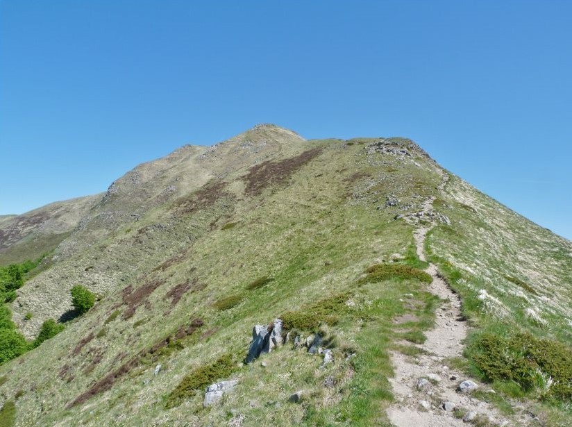 Monte Cavalbianco m. 1855 - Appennino Tosco-Emiliano