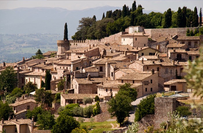 Il Cammino degli ulivi