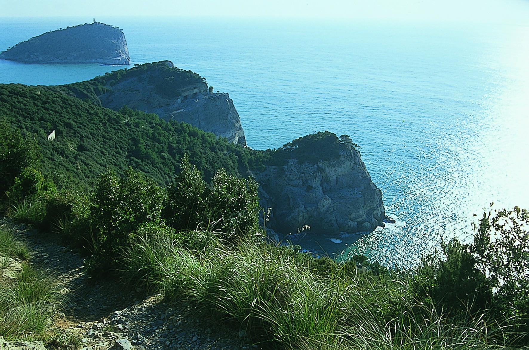 ANELLO DELL'ISOLA PALMARIA