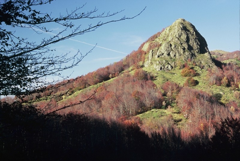 MONTE GIFARCO M. 1381 - APPENNINO LIGURE