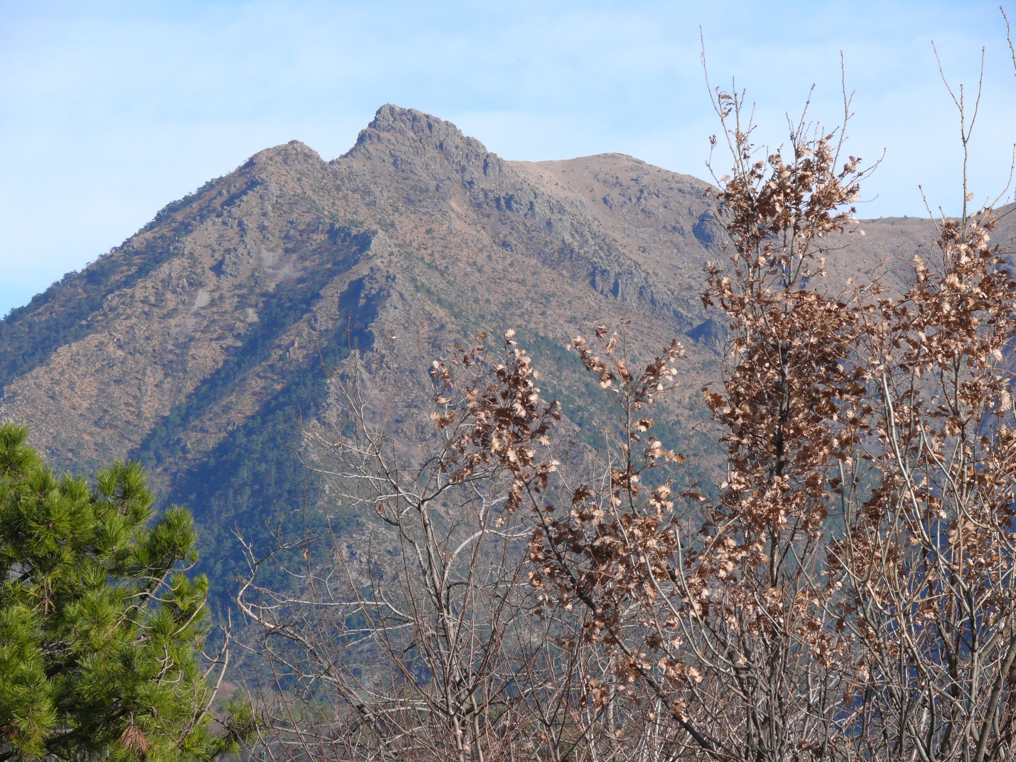 Punta Martin m. 1001 - Appennino ligure