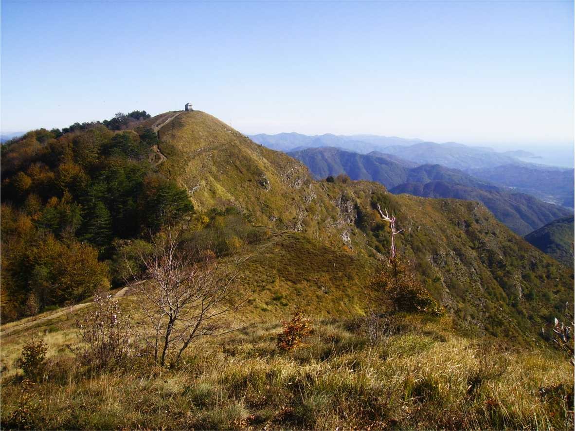 ANELLO DEL CAUCASO