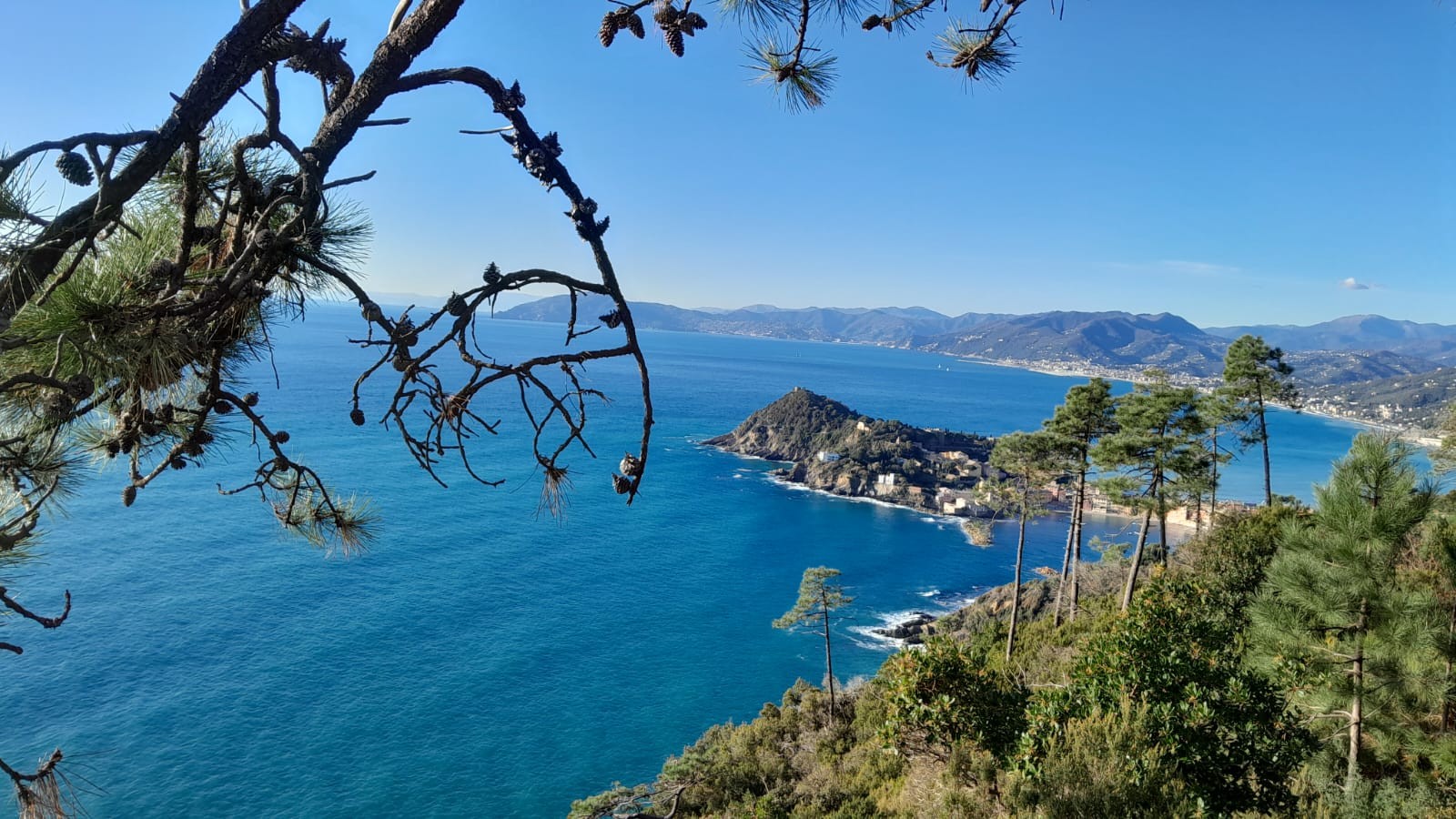 TREKKING BOTANICO A PUNTA MANARA