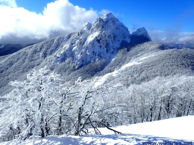 Monte Penna