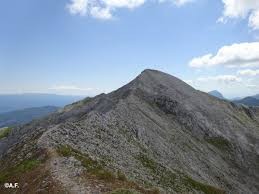 Tambura 