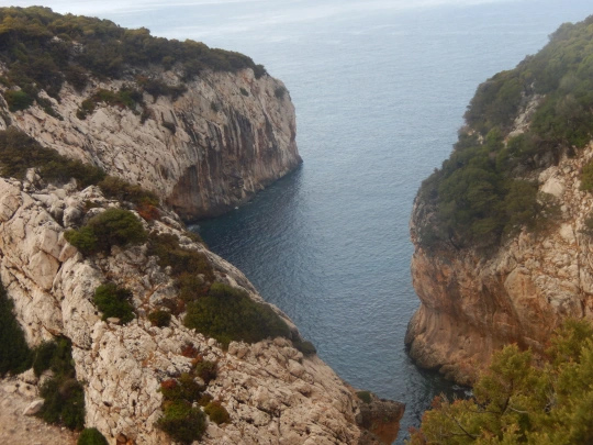 SELVAGGIO BLU