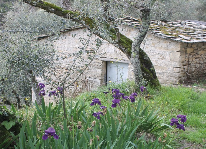 IL TRINOMIO DI S. COLOMBANO - 14 MARZO ORE 21